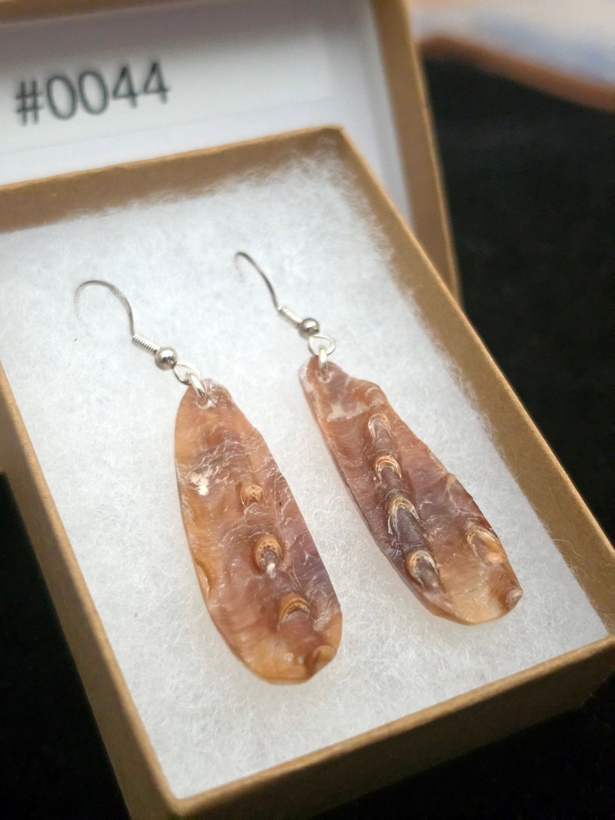 #0044 Florida Sea Pen Earrings .925 Silver