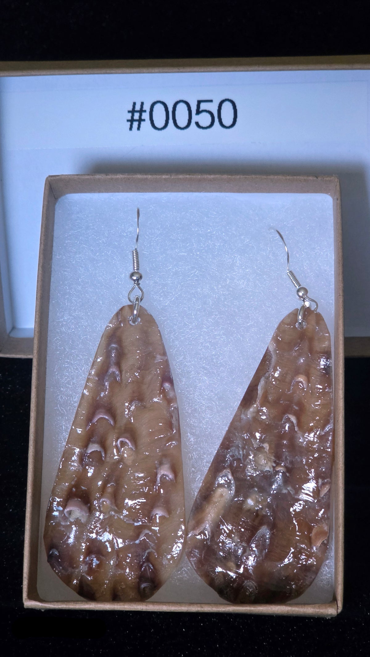 #0050 Florida Sea Pen Shell Earrings .925