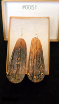 #0051 Florida Sea Pen Shell Earrings .925