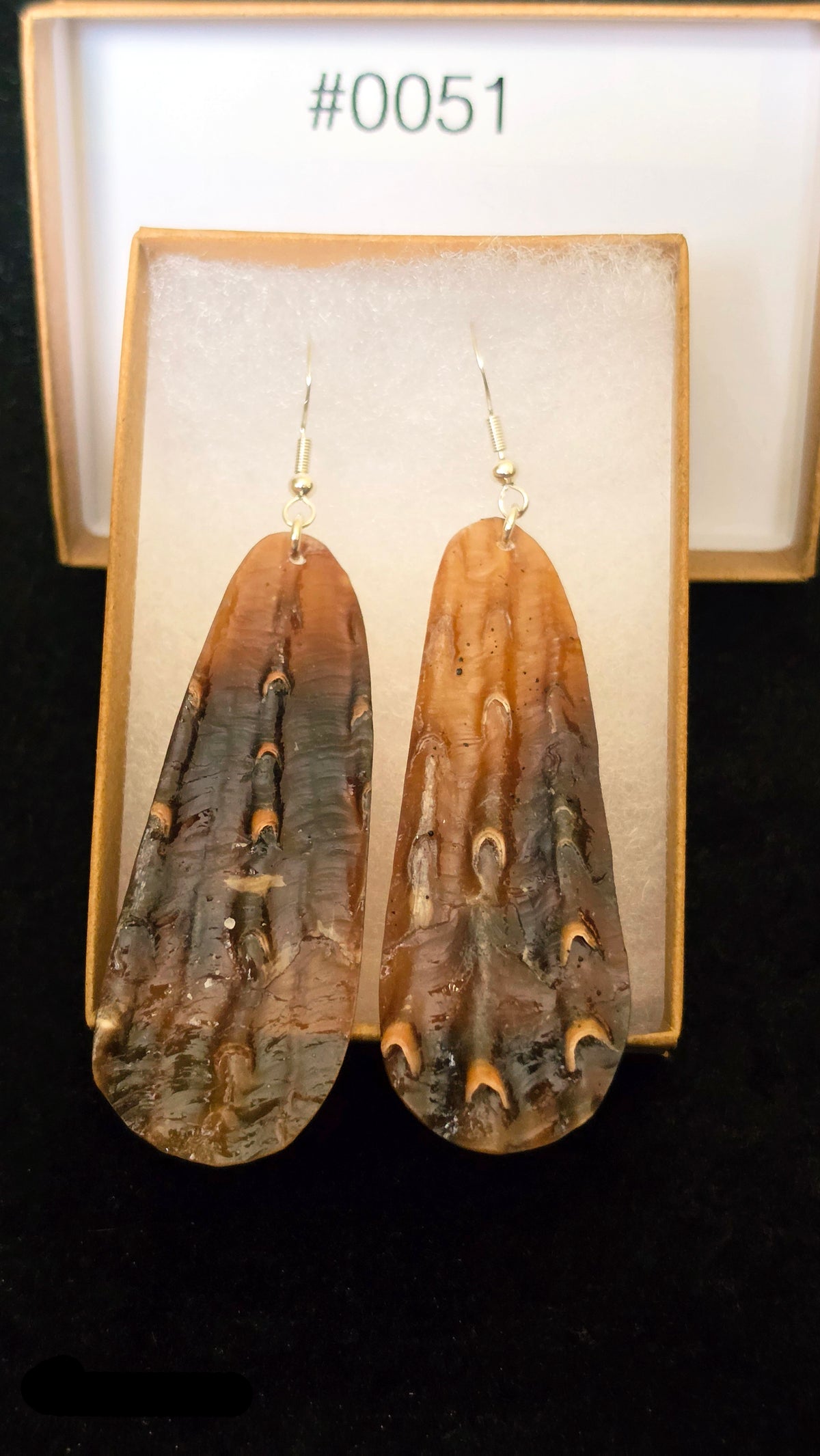 #0051 Florida Sea Pen Shell Earrings .925