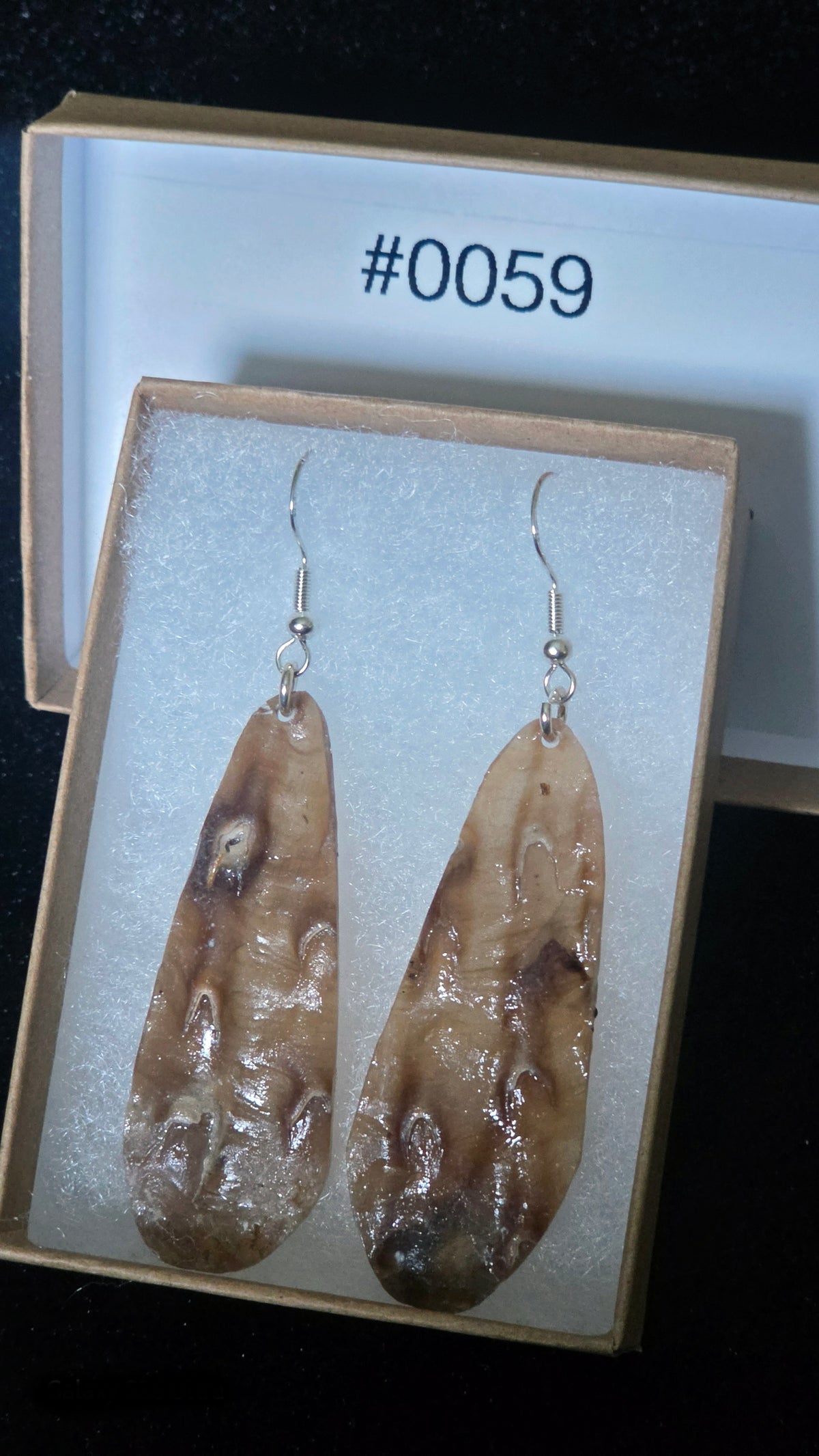 #0059 Florida Sea Pen Shell Earrings .925
