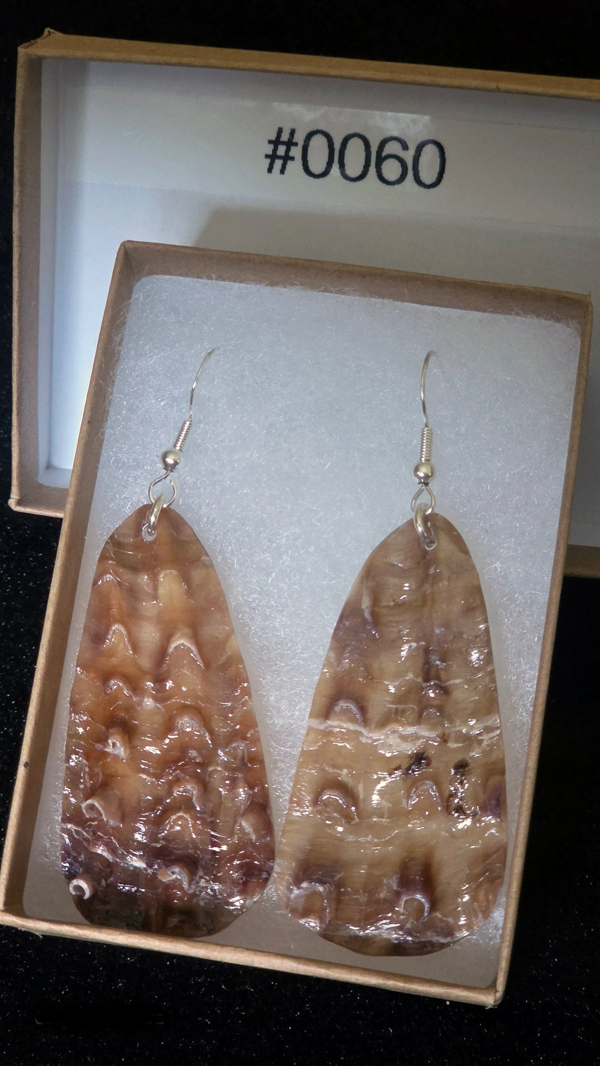 #0060 Florida Sea Pen Shell Earrings .925